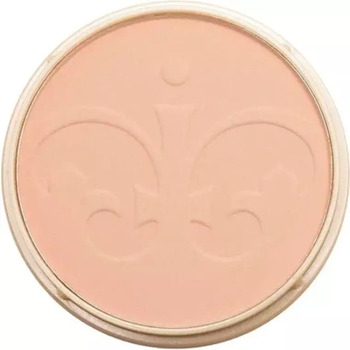 Stay Matte - Matující kompaktní pudr 14 g